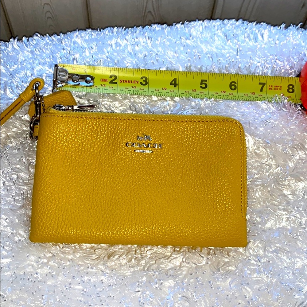 Wrist pouch